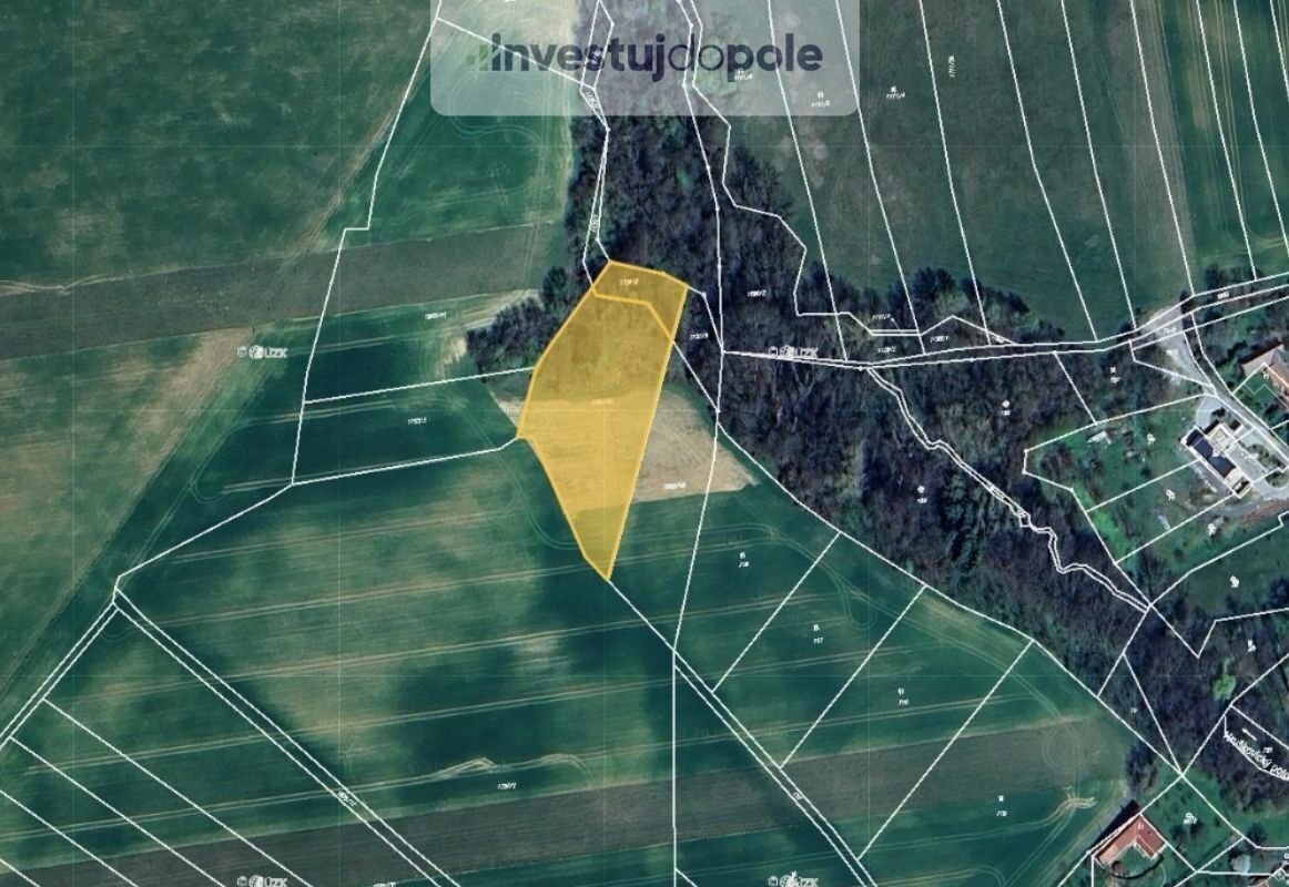 Prodej pole v k.ú. Osvětimany, ev.č. 2025-08-06-1 - 3