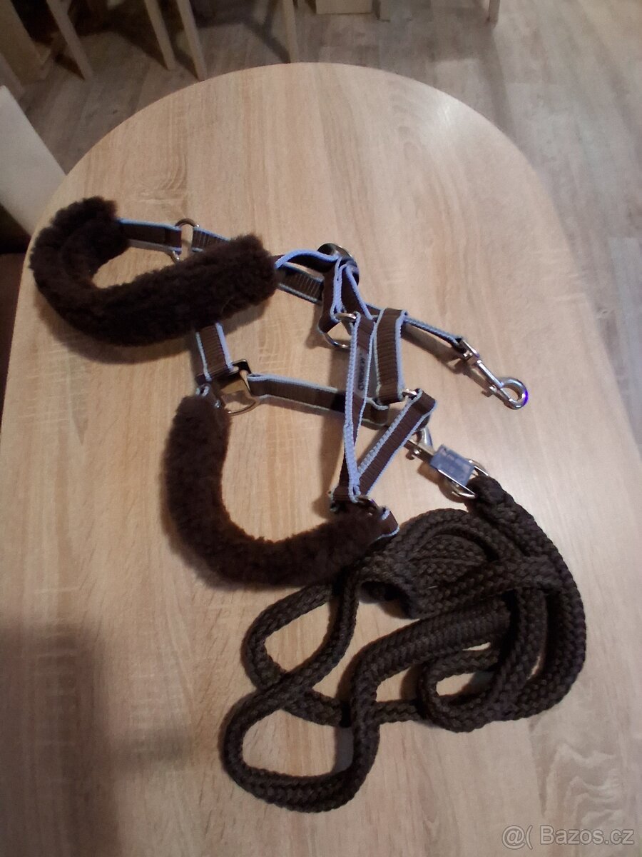 Ohlavka eskadron - 3