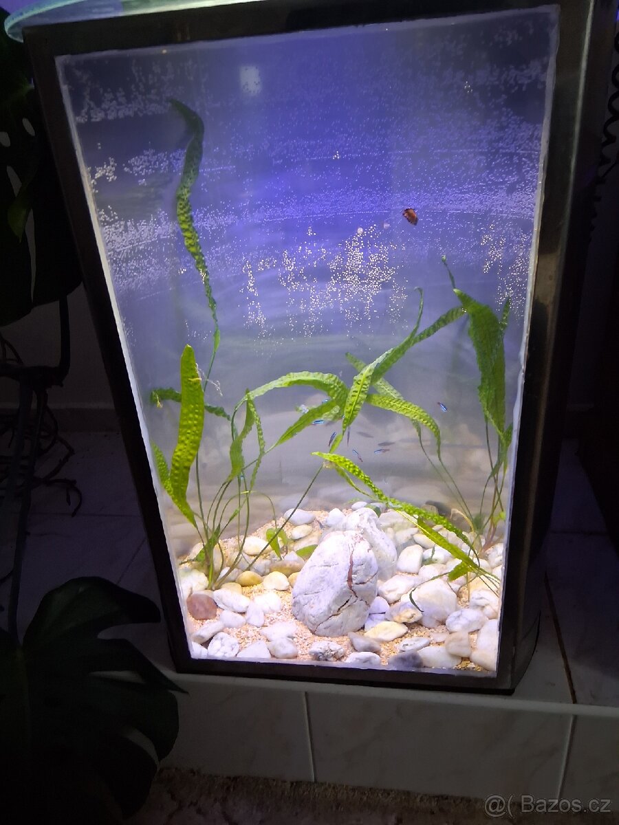 Akvarium - 3