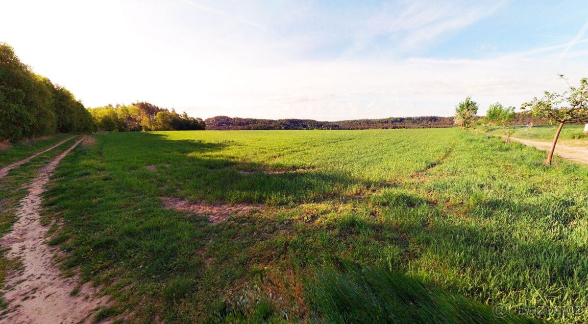 Zemědělská půda, prodej, Blíževedly, Česká Lípa - 3