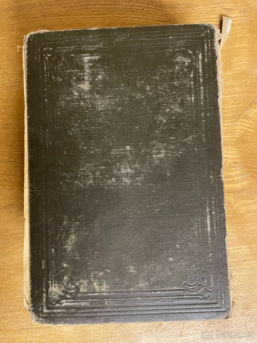 Bilzovo nové léčení přirozené první vydání 1897 - 3