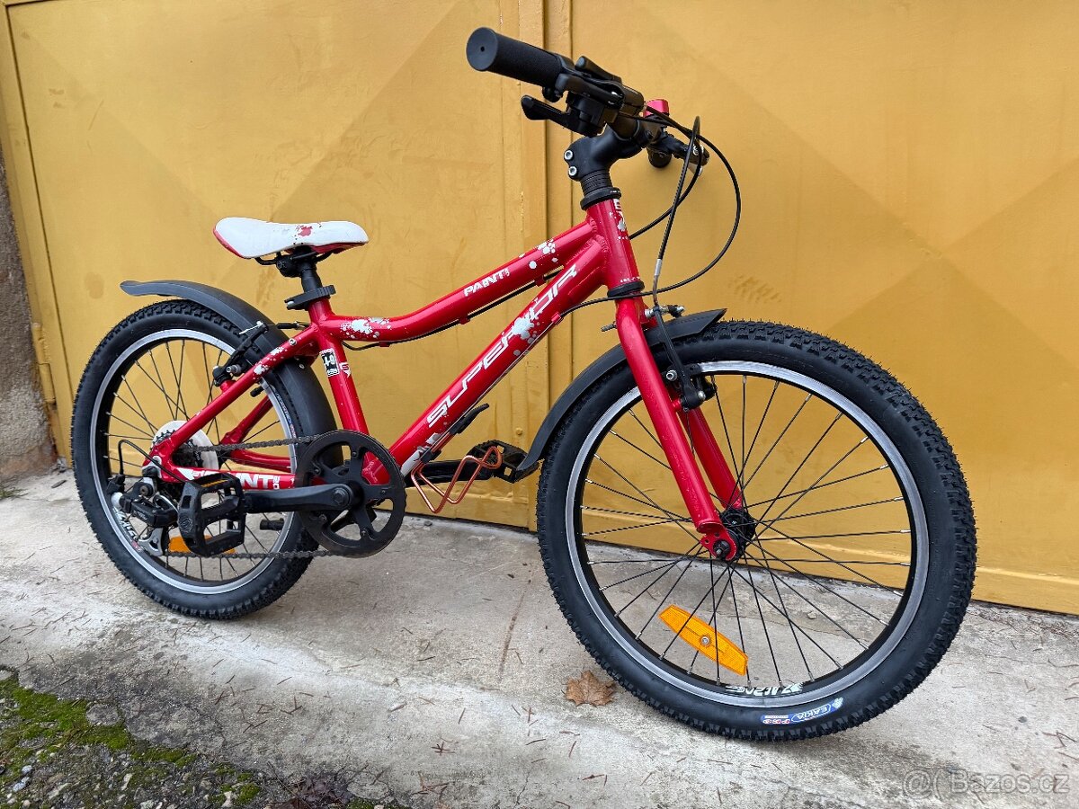 Superior Paint 20 dětské kolo po servisu s páčkovým řazením - 3