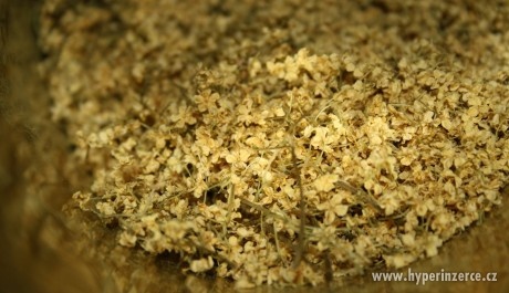 Sušené šípky.....a jiné bylinky.....prodám - 3