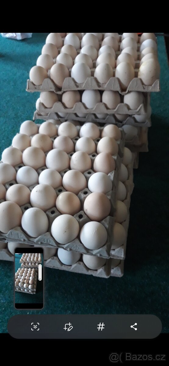 Domácí vajička - 3