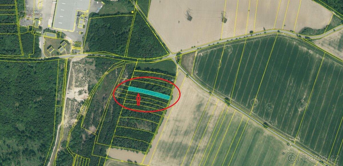 Prodám lesní pozemky v k.ú. Chvalešovice - 3