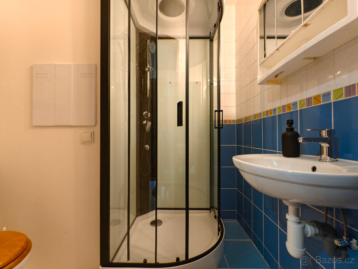 Pronájem 2+kk, 45m2 (vybavený) (Rochlice, ul. Na Žižkově) - 3