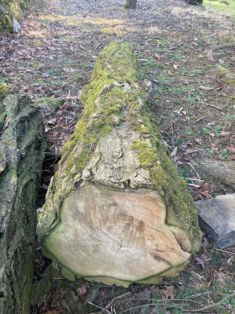 Akátové dřevo, palivové dřevo, klády, 2. roky sušené - 3