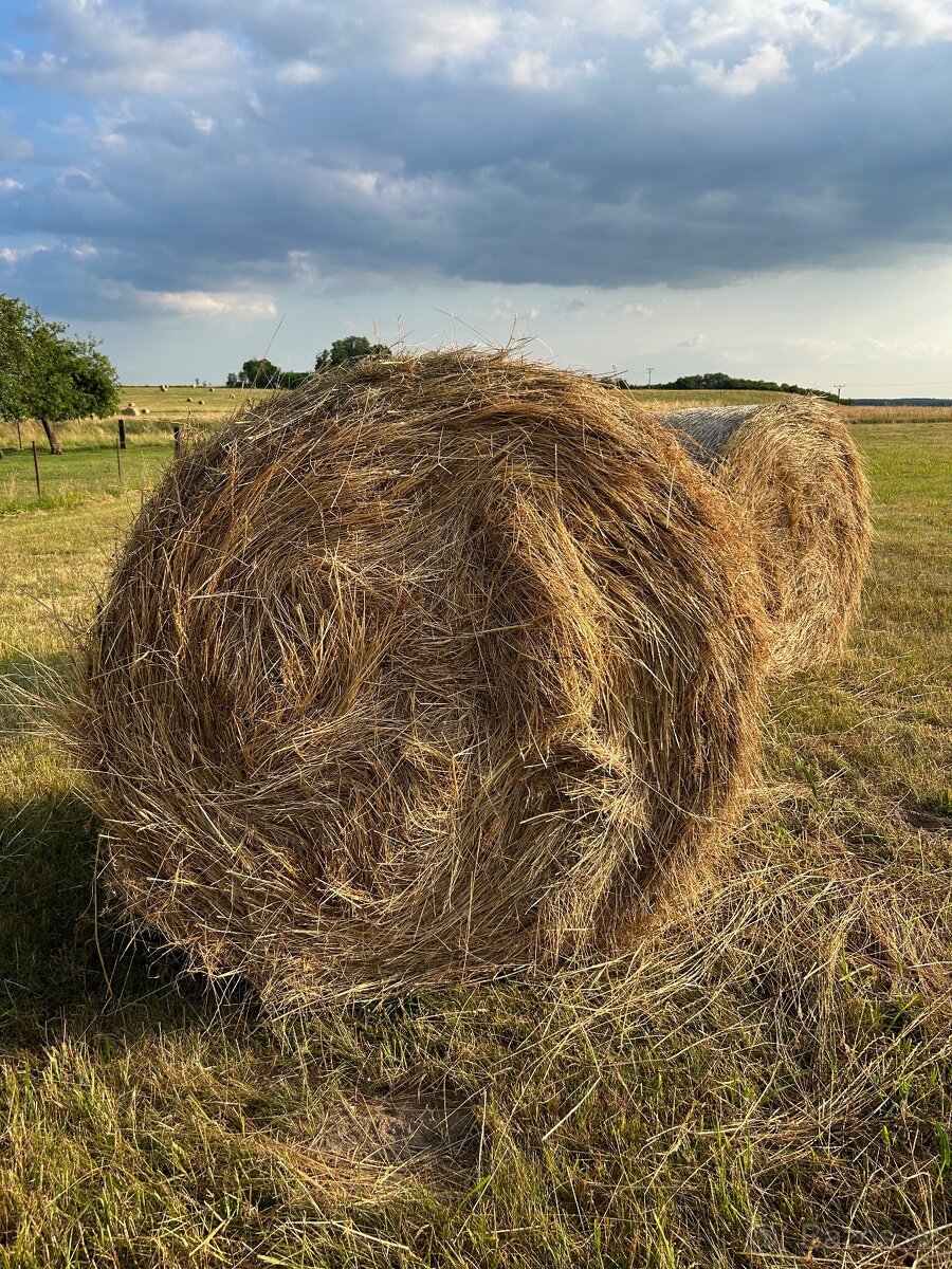 Seno - kulaté balíky - 3
