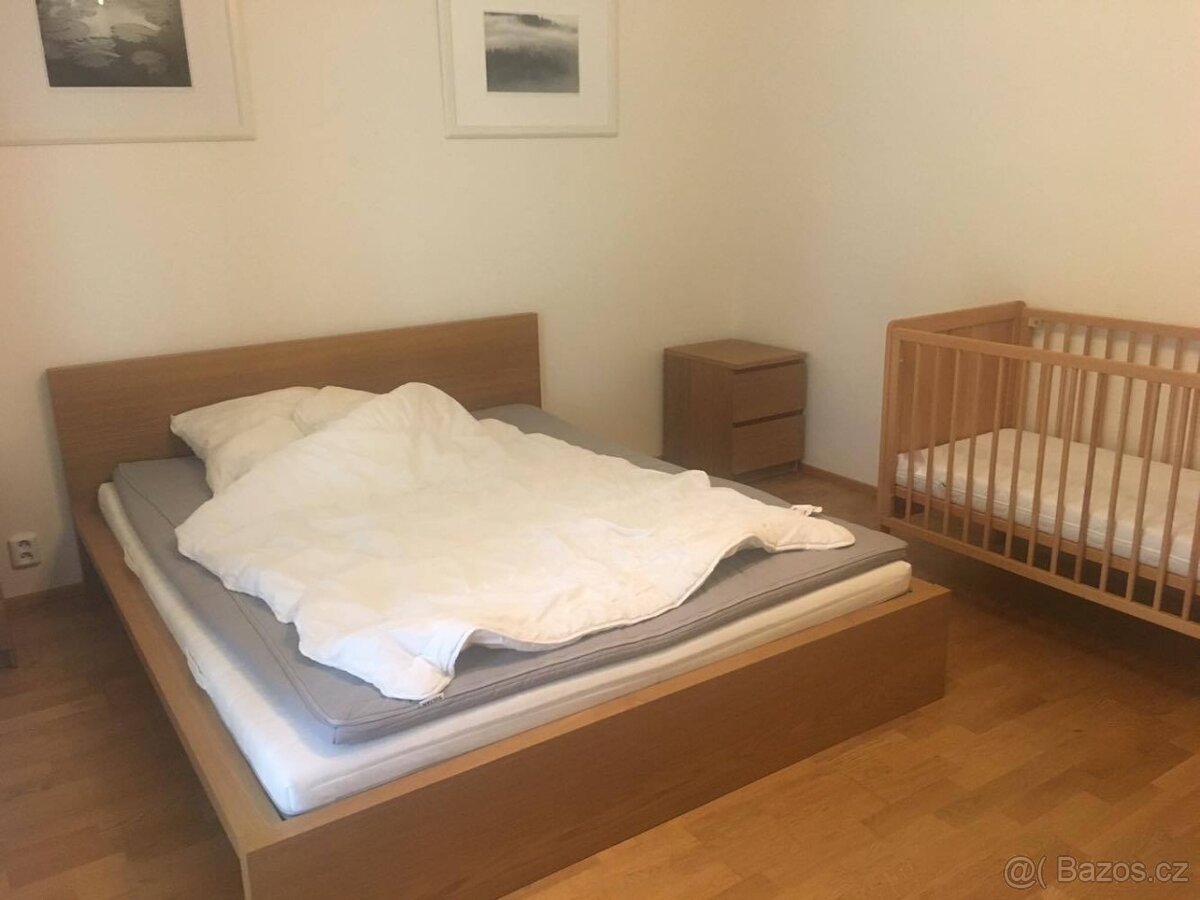 Pronájem bytu 2+kk 65 m² Paťanka, Praha - Dejvice - 3