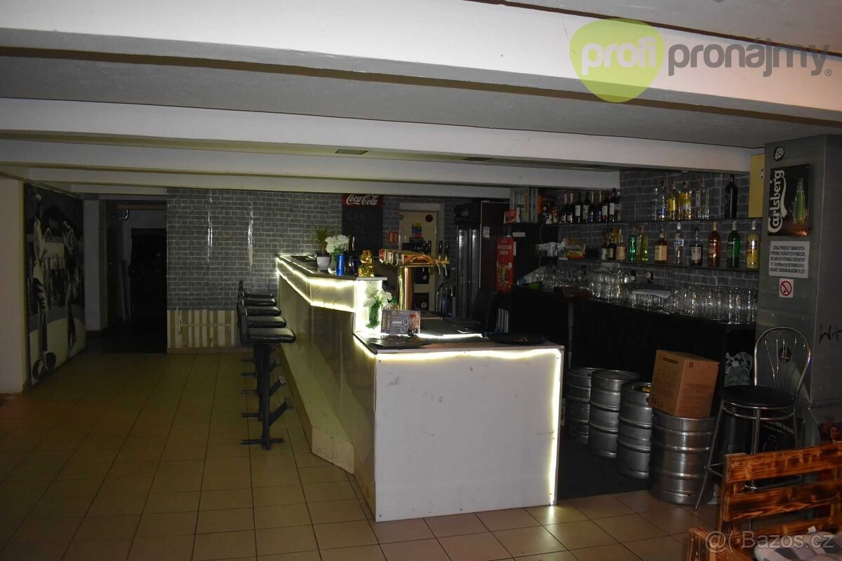 Pronájem komerčních prostor 1. PP, cca 220 m² - 3