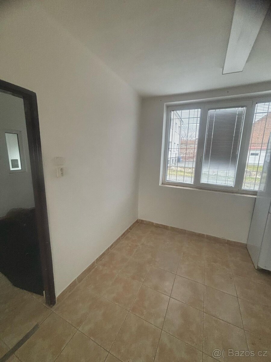 Pronájem prostoru k podnikání - 3