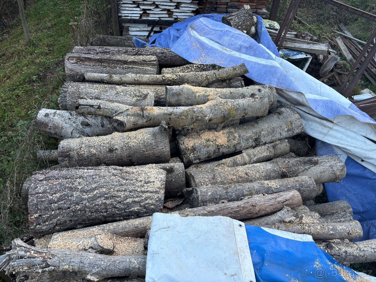 Palivové dřevo měkké - 3