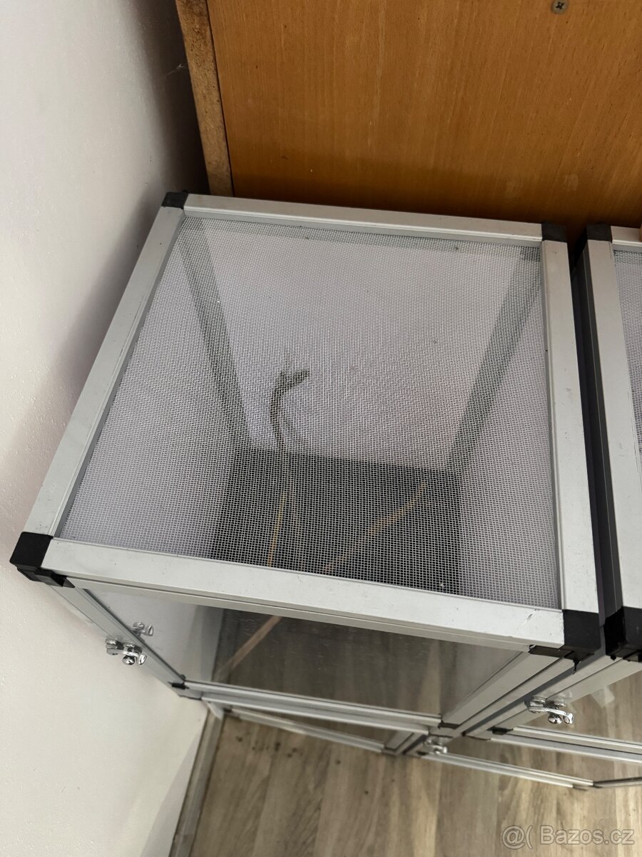 Prodám terárium 4ks - 3