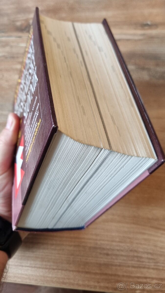 Španělsko-Český Česko-Španělský slovník - 3