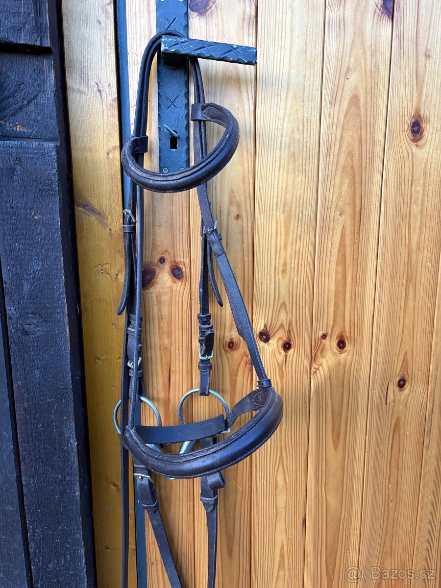 Anglická uzdečka - 3