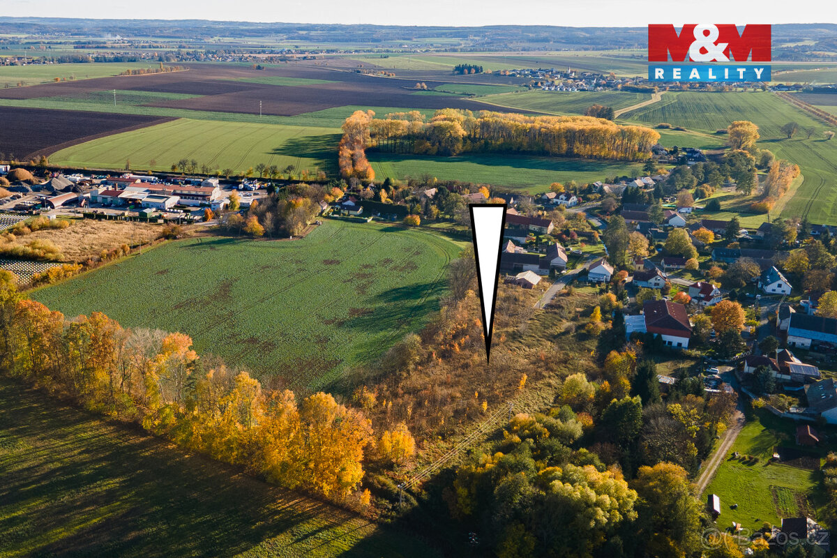 Prodej pozemku k bydlení, 15065 m², Čepí - 3