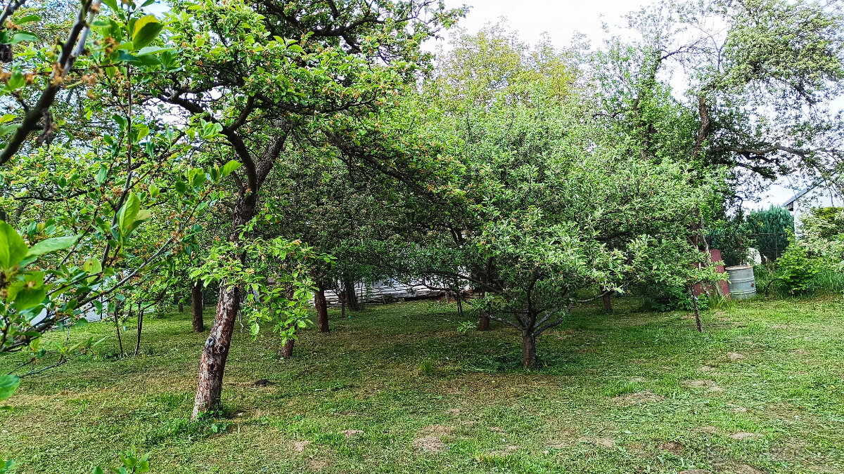 Dlouhodobý pronájem zahrady - 3