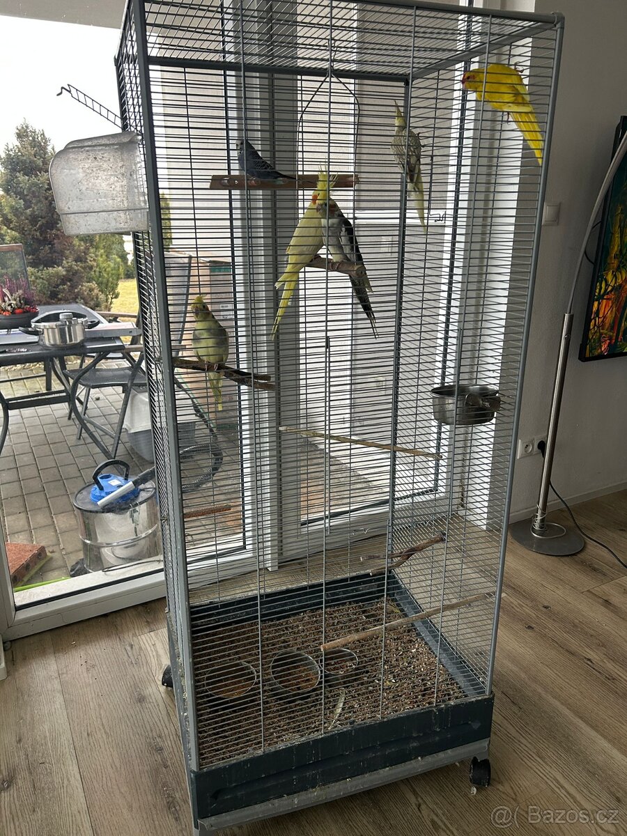 Velká klec + 6 papoušků - 3