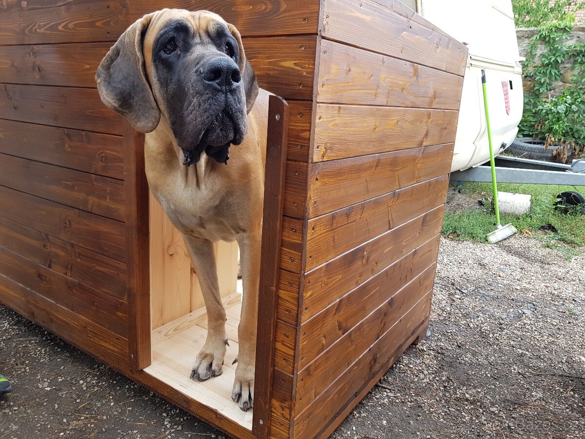 psí bouda, boudy pro psy - 3