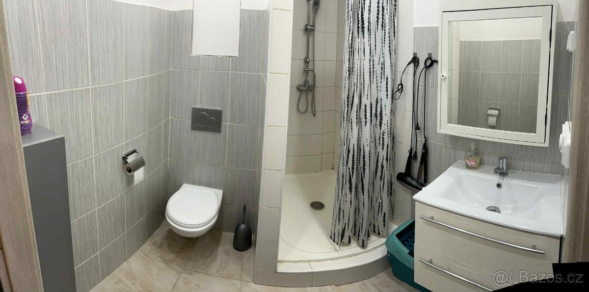 Pronájem 2kk Jince - 3