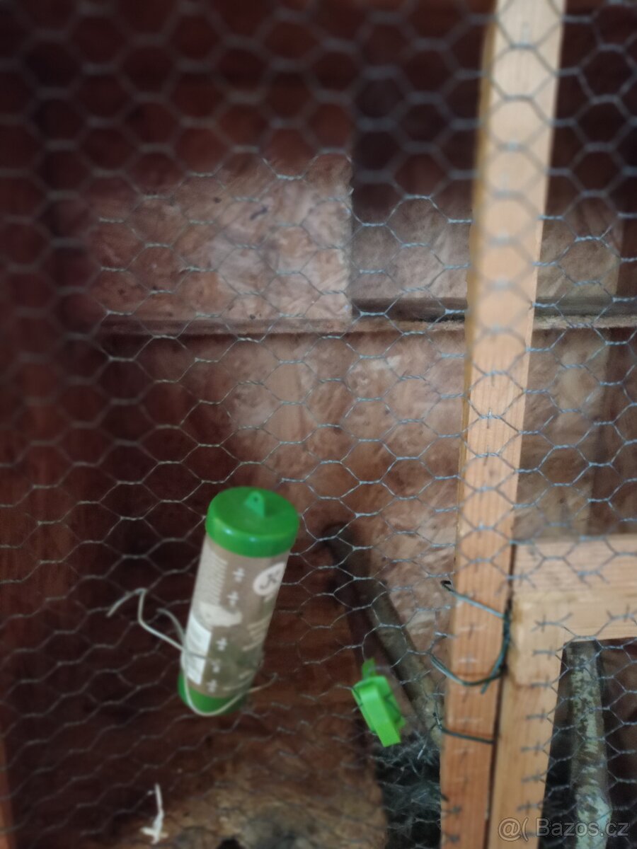 Klec na činčilu - 3