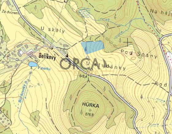 Boříkovy 7 383 m2. - 3