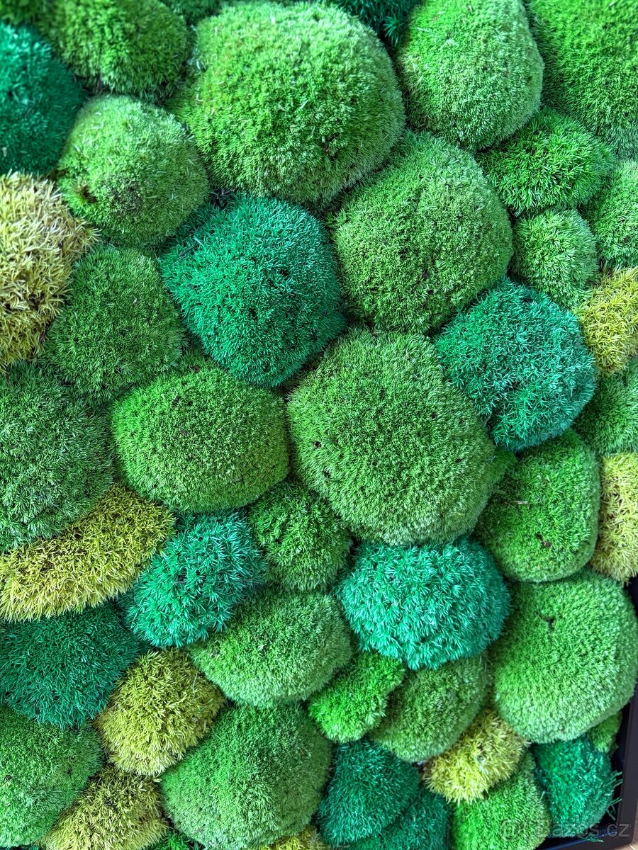 Mechový obraz 56x56 cm - 3