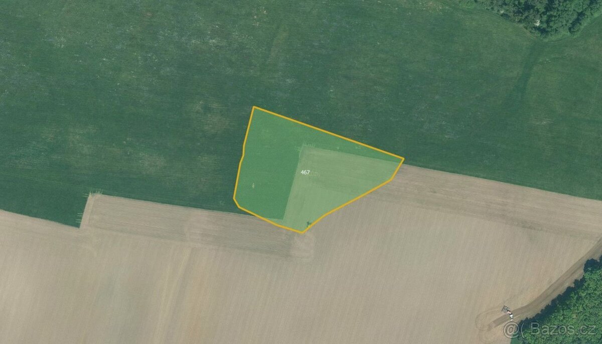 Zemědělská půda, prodej, Skviřín, Bor, Tachov - 3