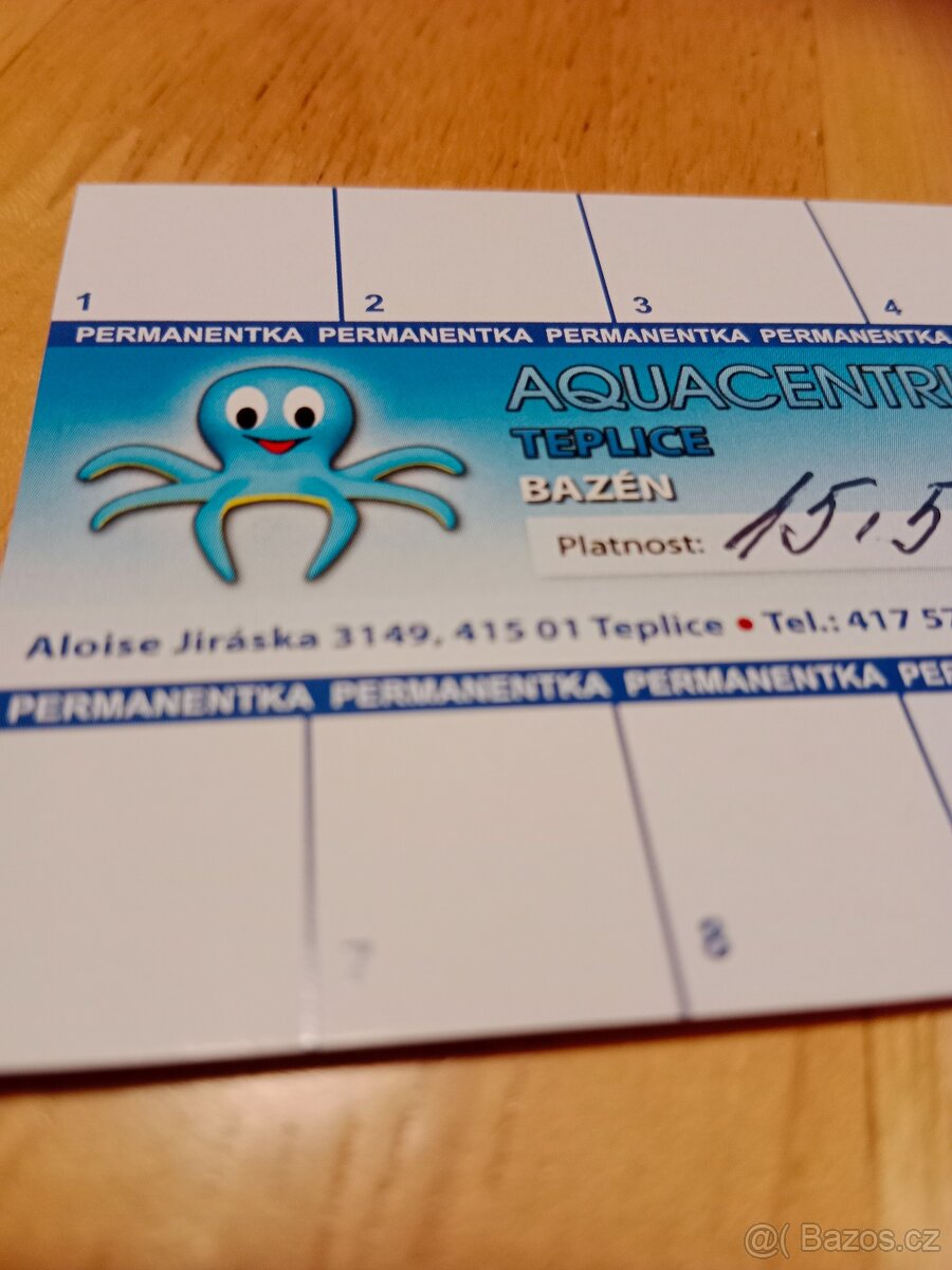 Permanentka na bazén v Teplicích - 3