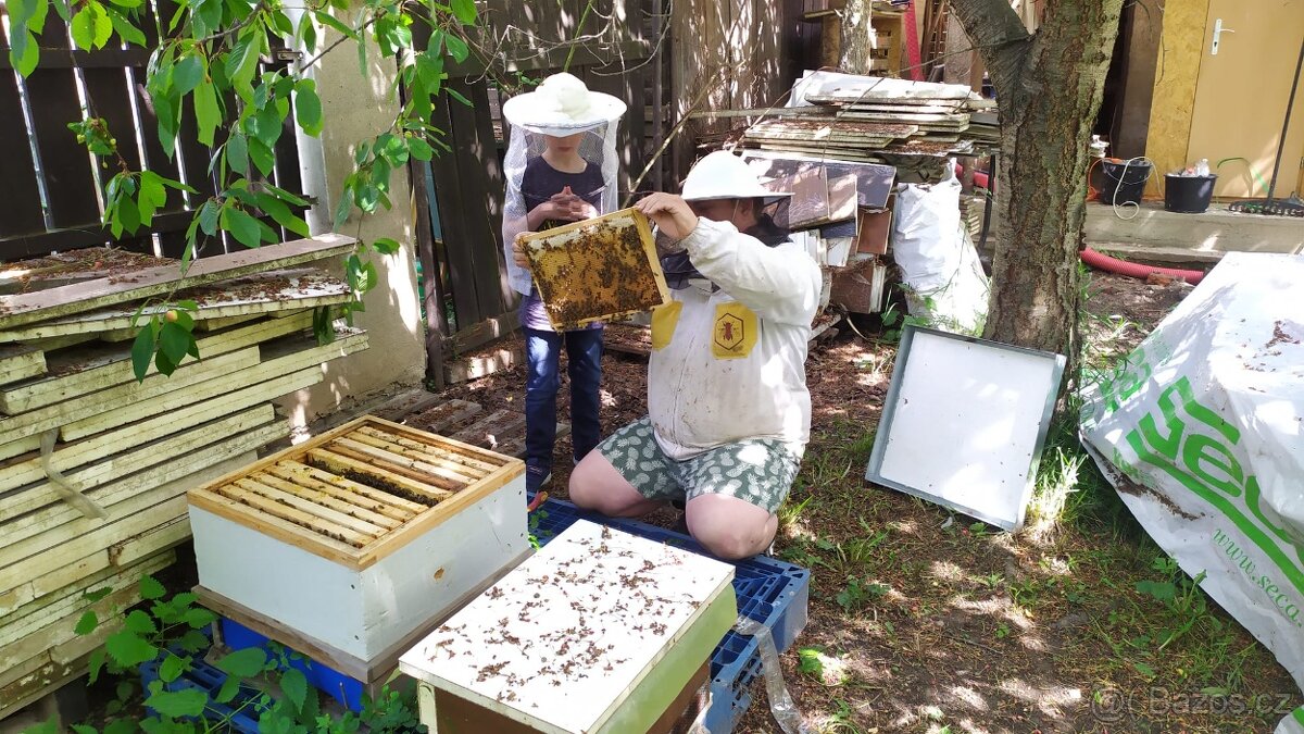 Vyzimovaná včelstva - 3