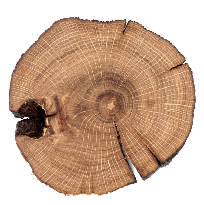 Koupím dřevěné koláče - 3