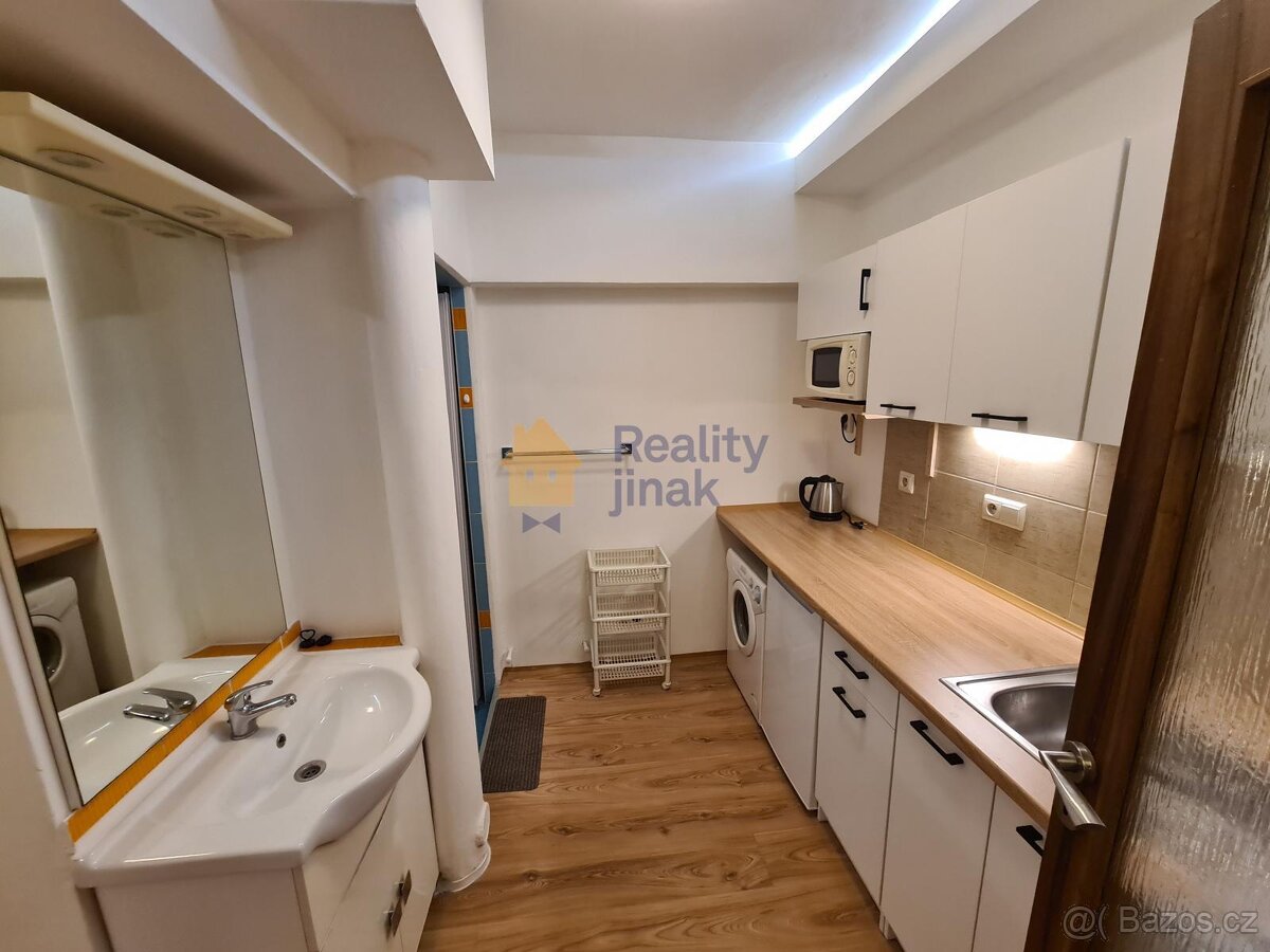 Pronájem cihlového bytu 1+1, 24 m2, dvorek, sklep, ul. Vodní - 3