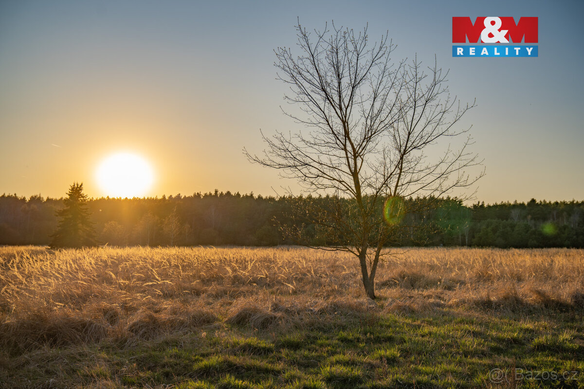 Prodej pozemku k bydlení, 758 m², Nová Ves - 3