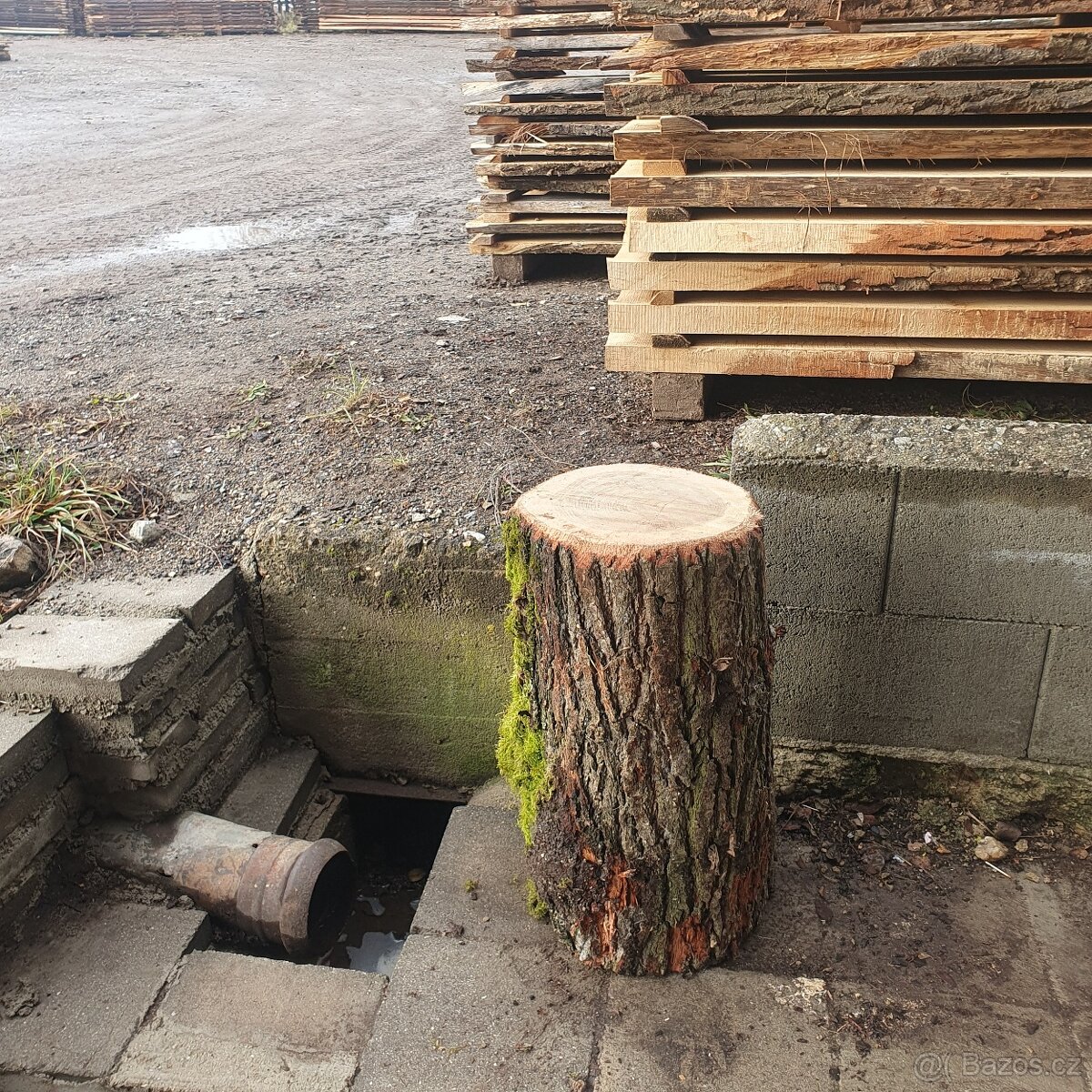 Dubový špalek na štípání - 3