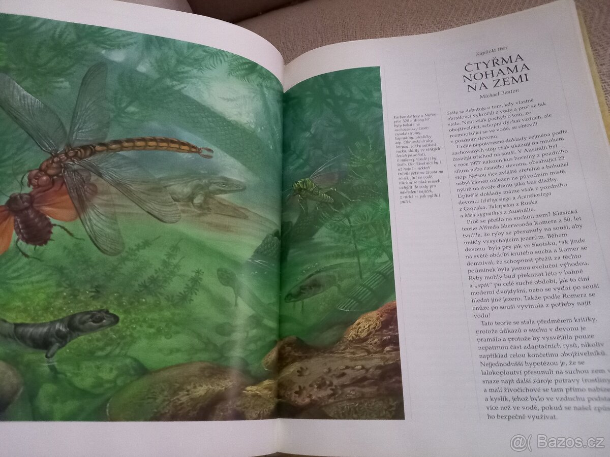 Dějiny planety země - 3