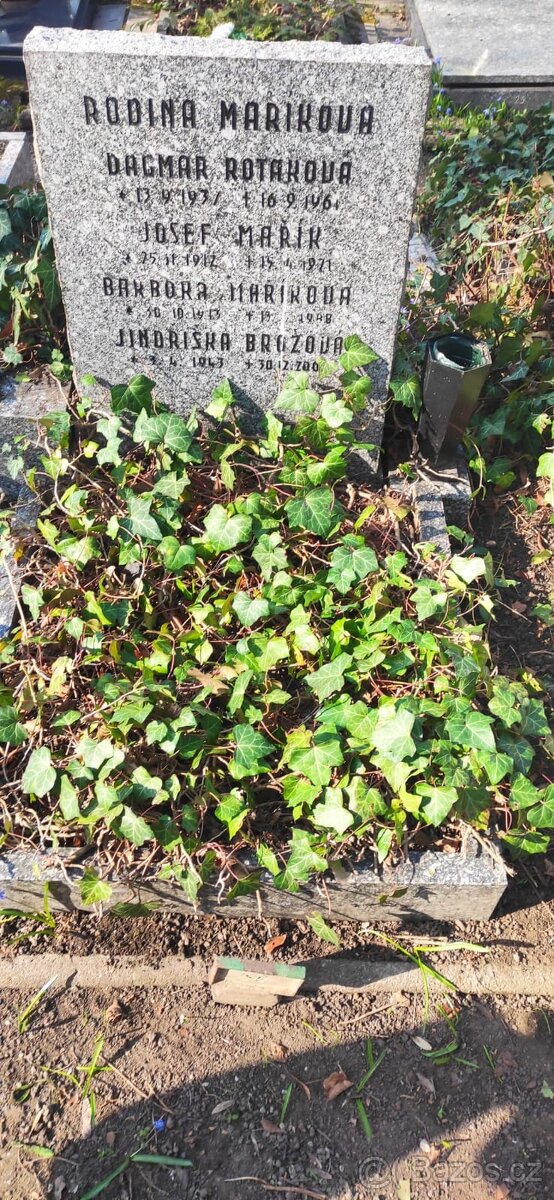 Hrobové místo na Olšanech - 3