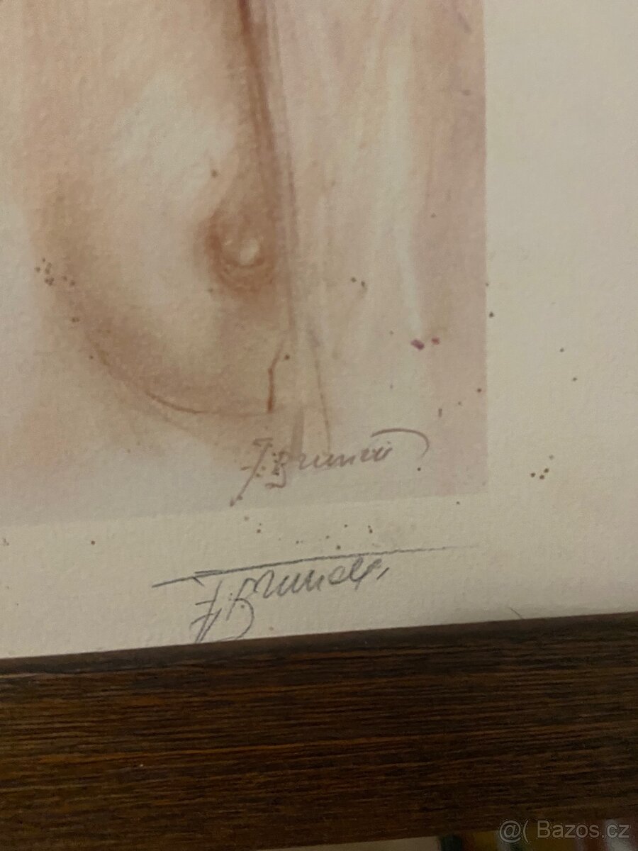 Rámovaný obraz – ženský akt - 3