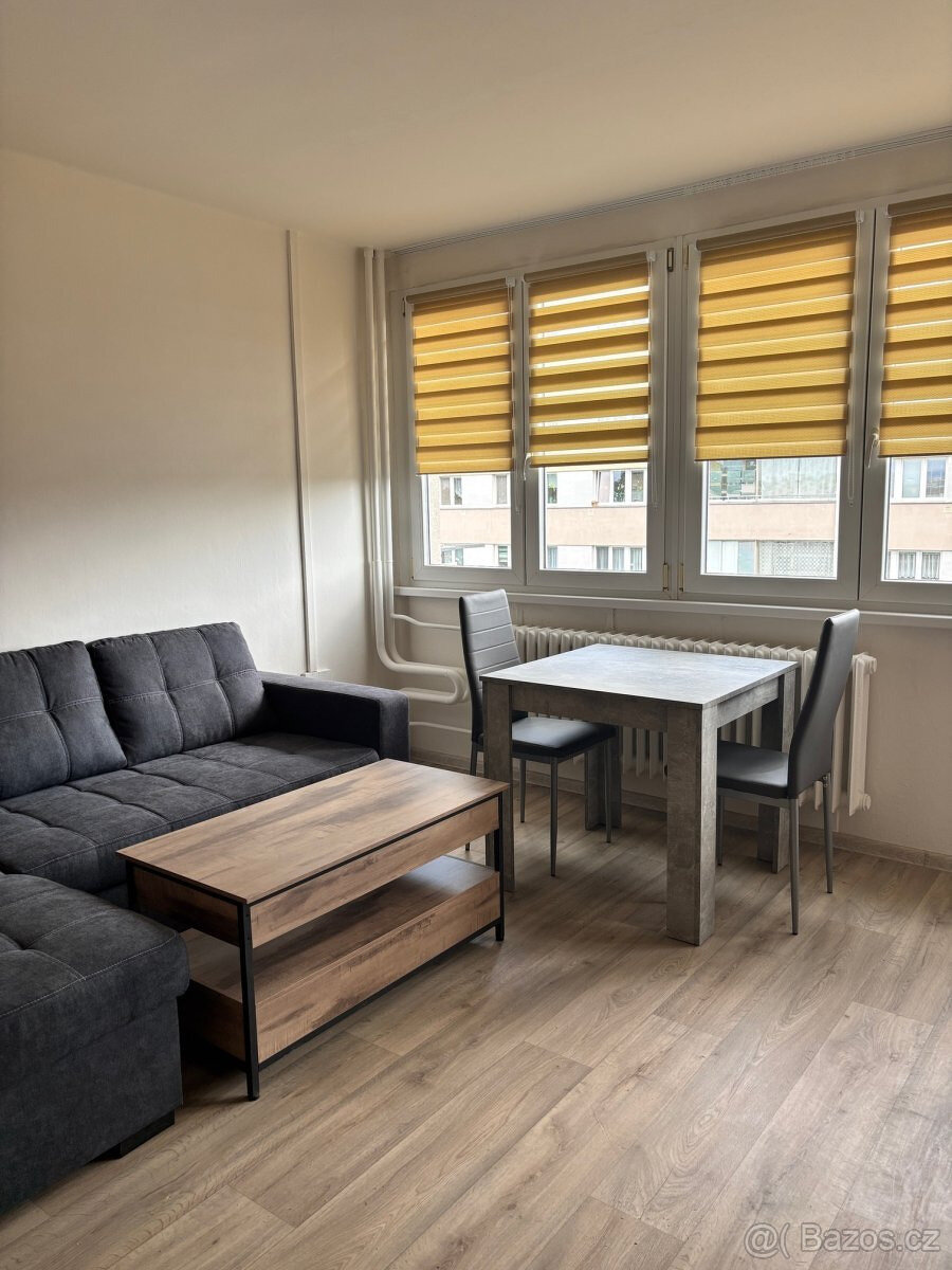 1+kk Apartment in Hradec Králové, Slezské Předměstí-sever, Věkoše – pohled 3