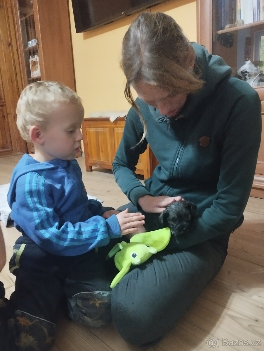 KNÍRAČ MALÝ P+S s PP - 3