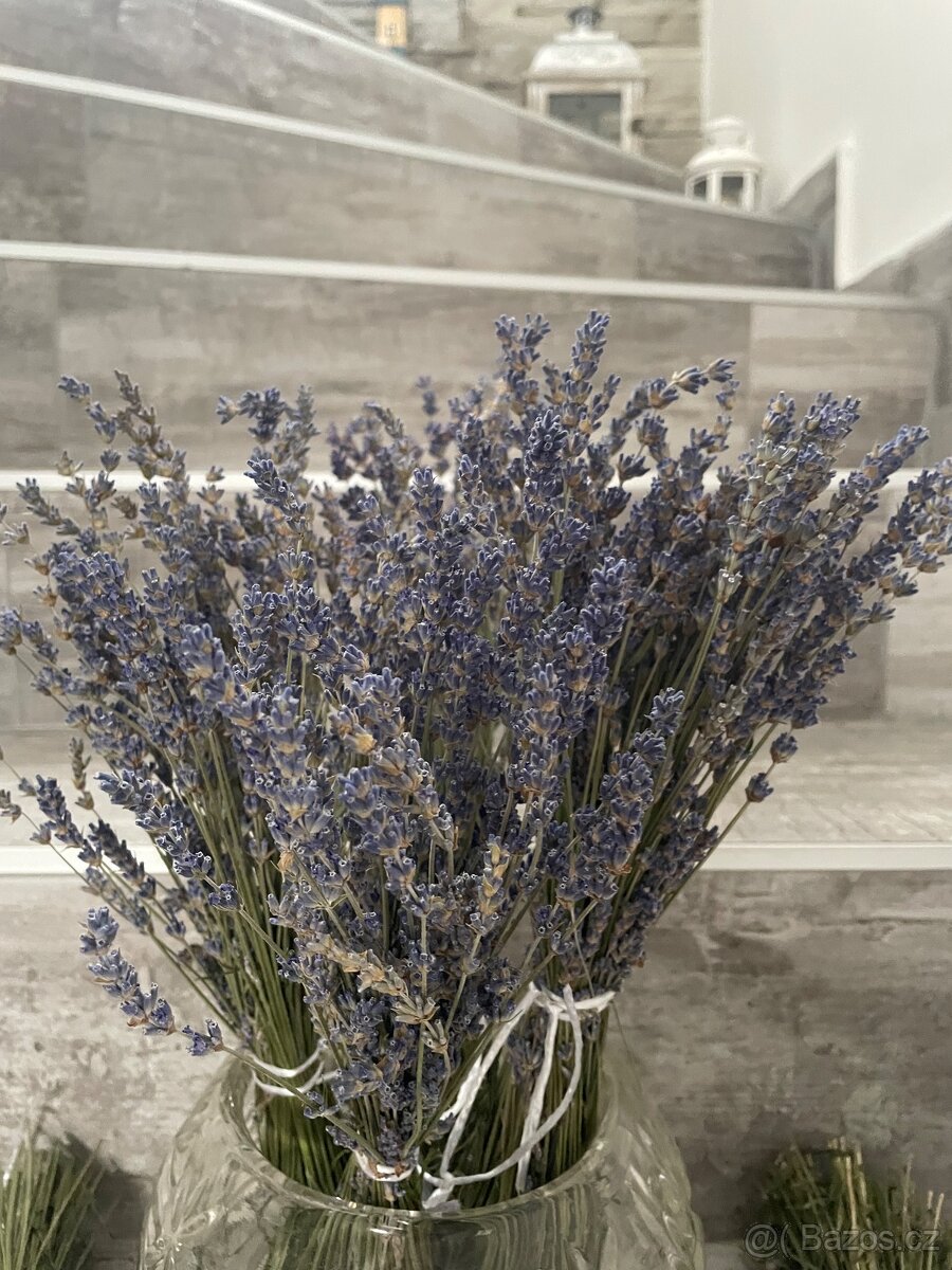 Sušená levandule svazky - 3