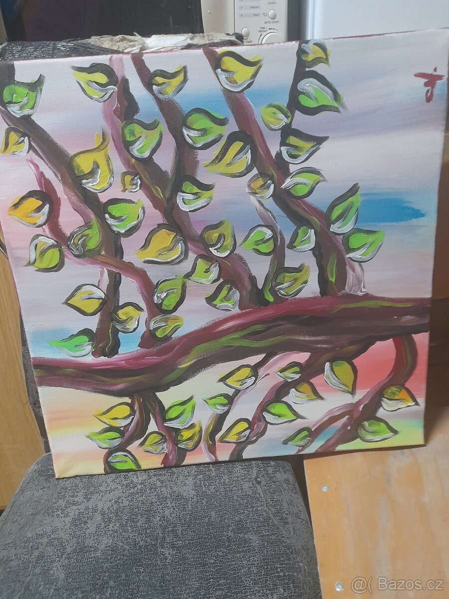 Obrazy a obrázky - 3