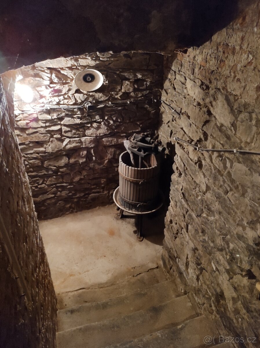 STARÝ LIS NA VINO - 3