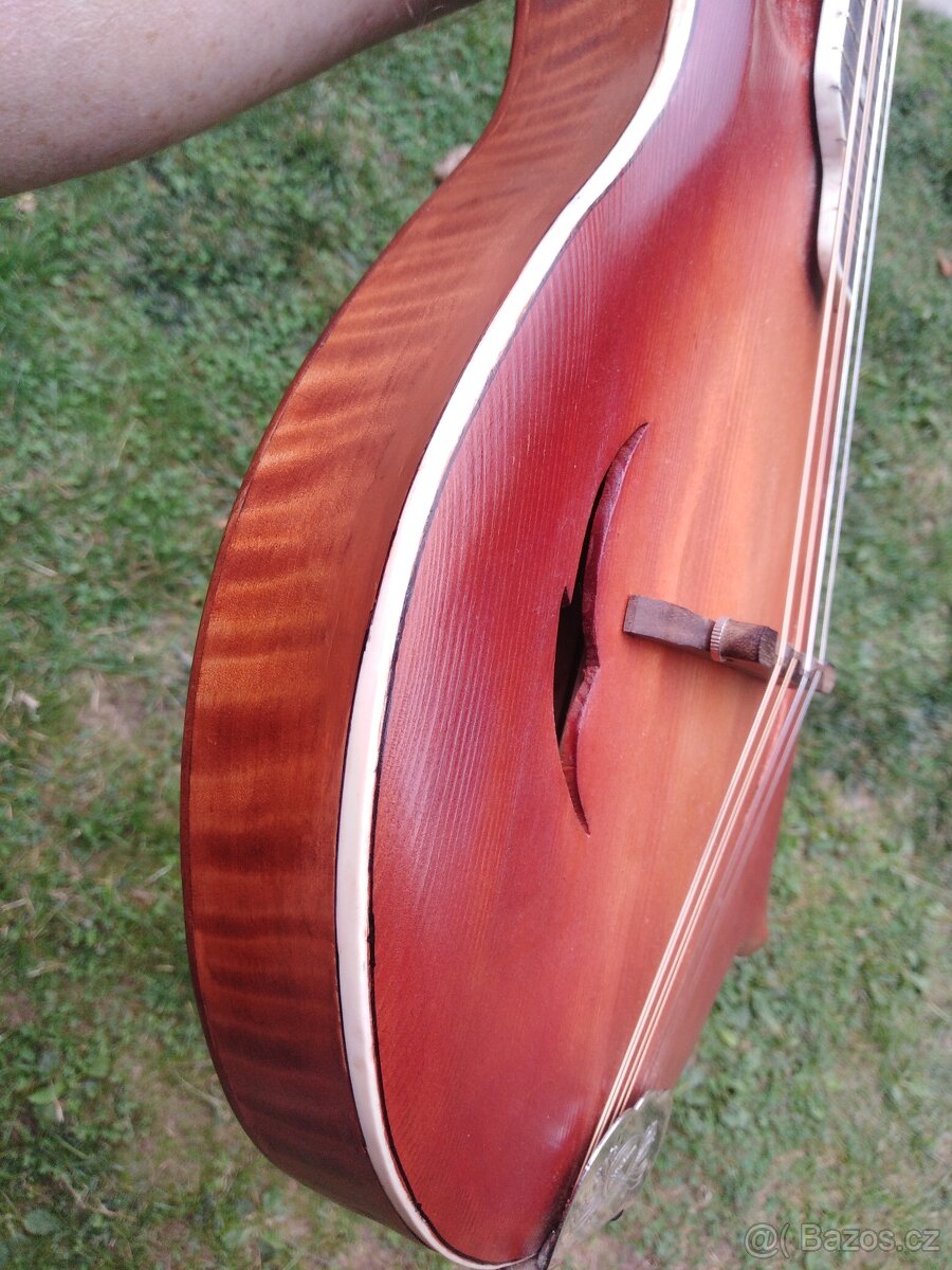 Prodám mandolínu F5 - 3