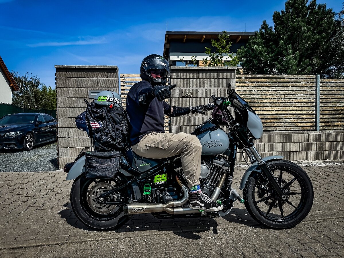 Harley-Davidson FXLR Low Rider M8 - 3