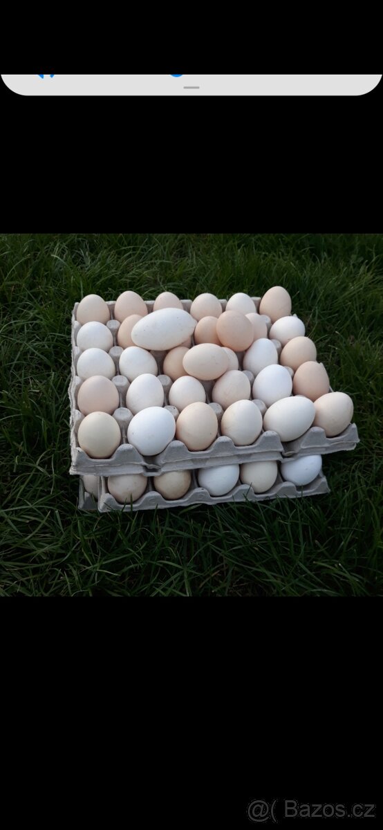 Domácí vajička - 3