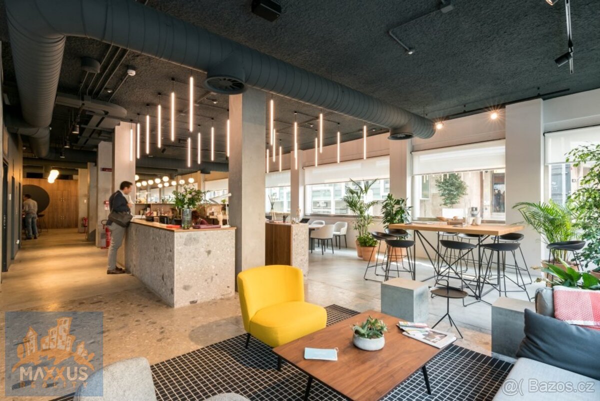 Světlem prozářená flexibilní kancelář pro 1 osobu, Praha 1 - - 3