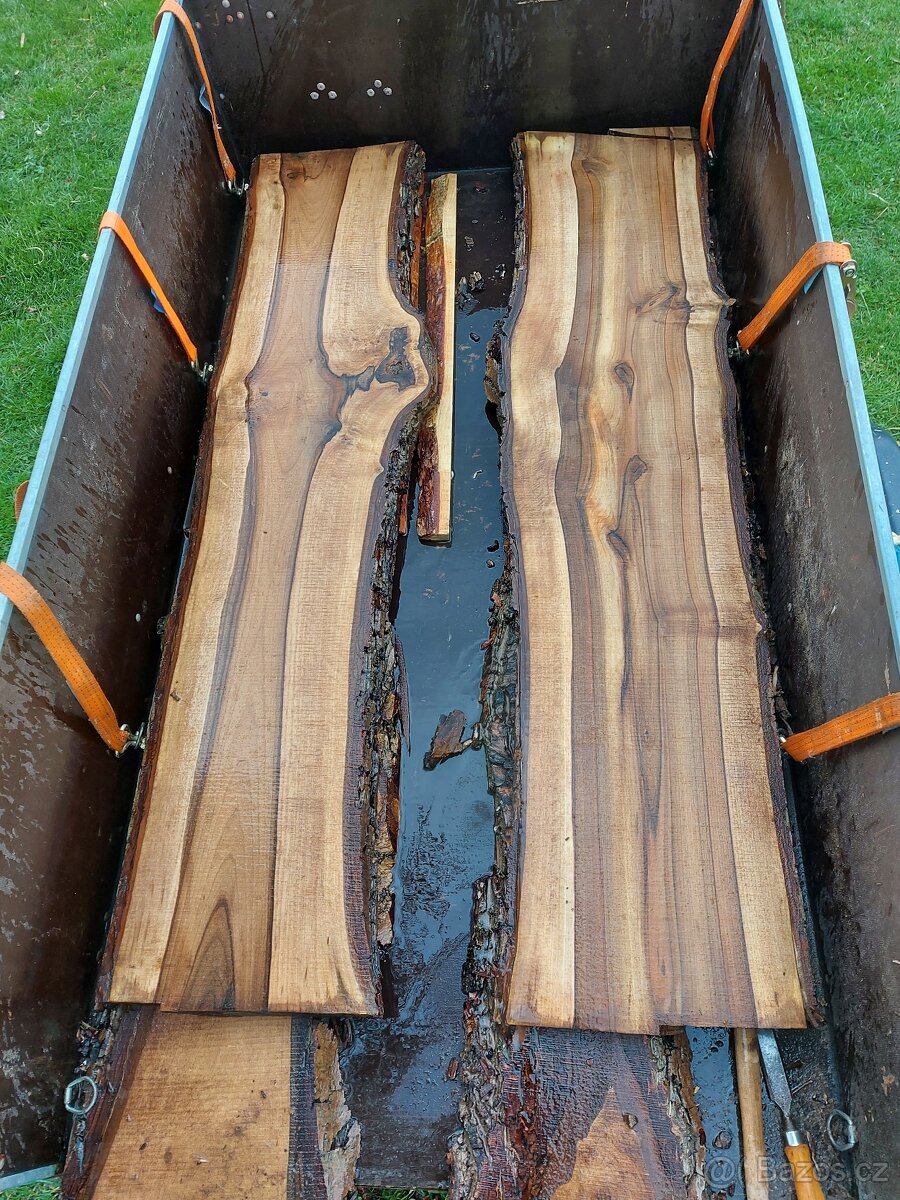 Ořechové fošny, ořech, ořechvá prkna - 3