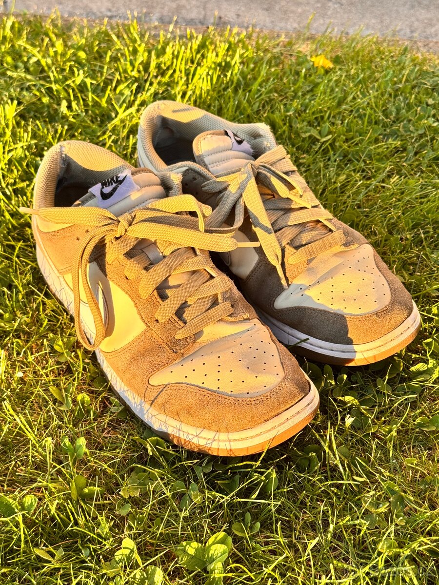 Nike dunk low vel. 46 - 3