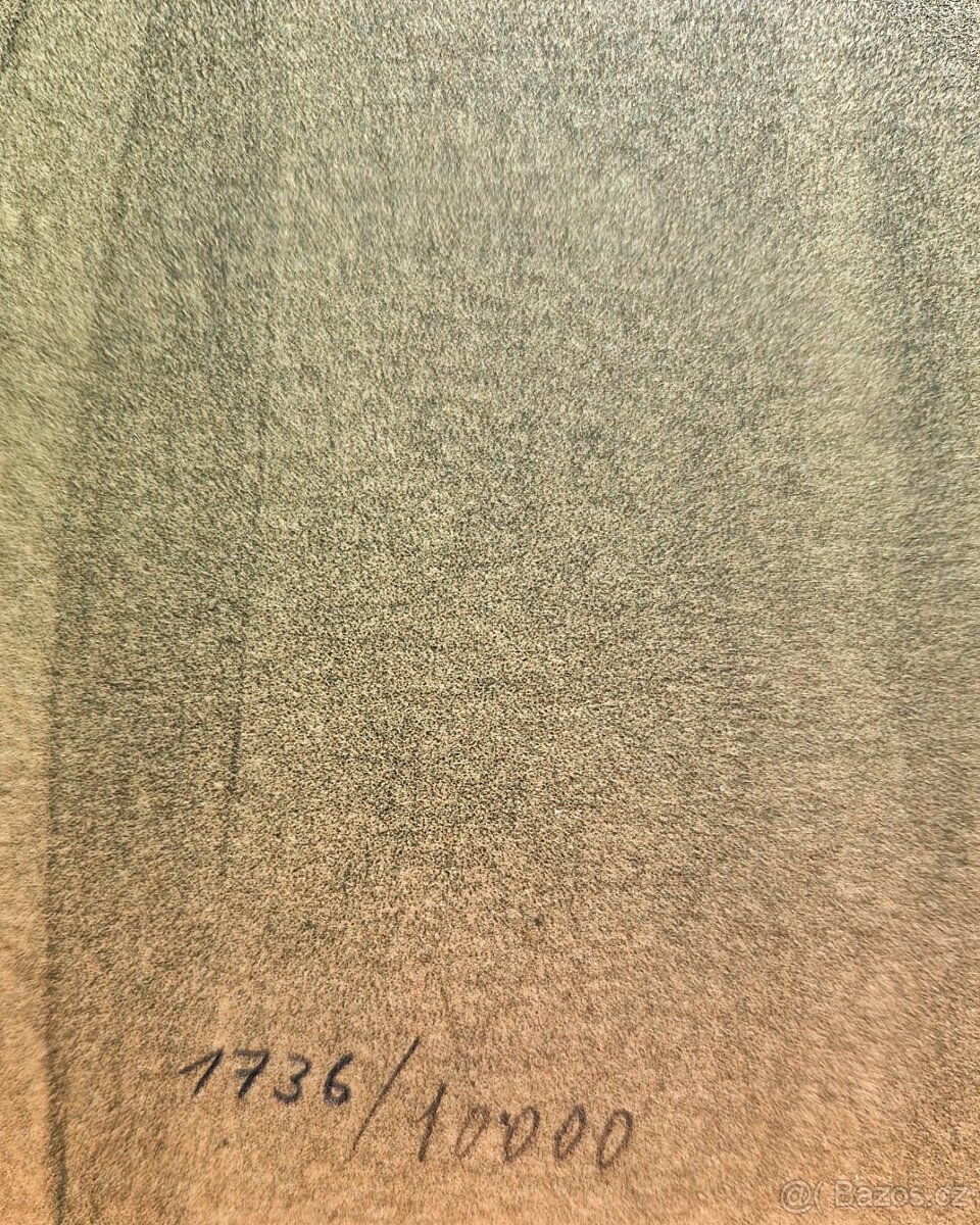 Bruno Bruni - (podpísaná litografia) ,(figurálny realizmus) - 3