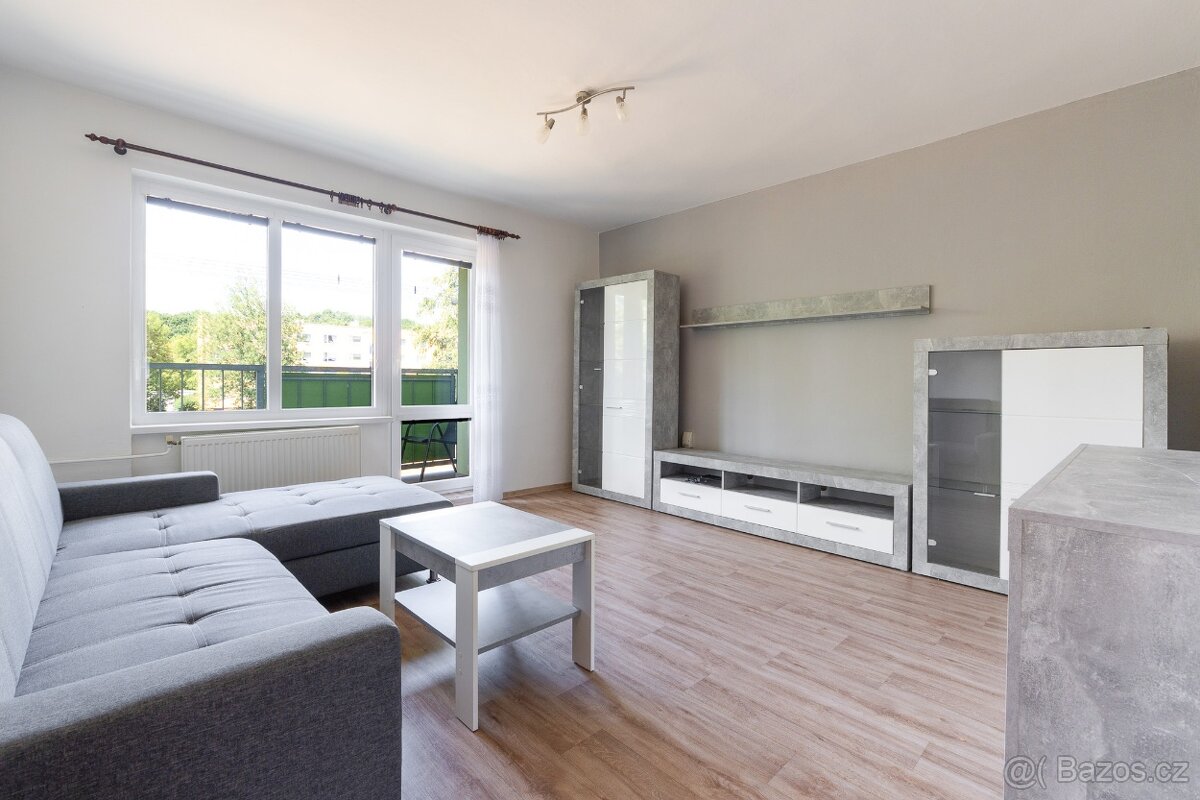 Pronájem bytu se zahradou - REZERVOVÁNO - 3